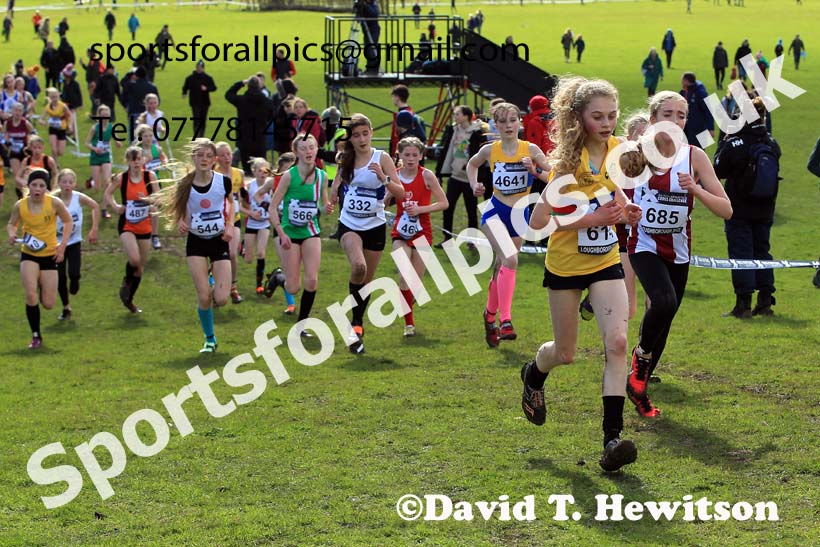 Girls Under-13s 2022 CAU Inter Counties Cross Country, Prestwold Hall, Loughborough.  Photo: David T. Hewitson/Sports for All Pics